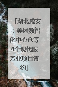 湖北咸安：美团数智化中心仓等4个现代服务业项目签约