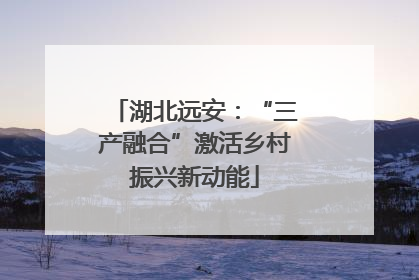 湖北远安：“三产融合”激活乡村振兴新动能