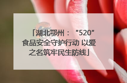 湖北鄂州：“520”食品安全守护行动 以爱之名筑牢民生防线