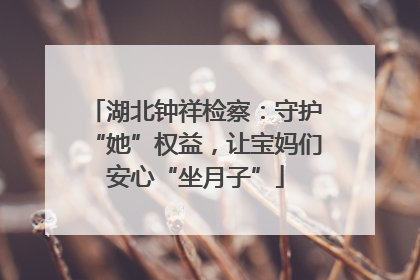 湖北钟祥检察：守护“她”权益，让宝妈们安心“坐月子”