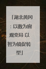 湖北黄冈：以数为窗观变局 以智为镜促转型