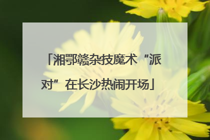 湘鄂赣杂技魔术“派对”在长沙热闹开场