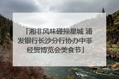湘非风味碰撞星城 浦发银行长沙分行协办中非经贸博览会美食节