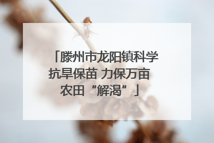 滕州市龙阳镇科学抗旱保苗 力保万亩农田“解渴”
