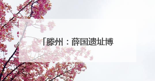 滕州：薛国遗址博物馆文物征集公告