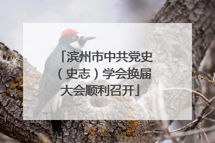 滨州市中共党史（史志）学会换届大会顺利召开