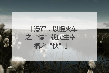 漫评：以慢火车之“慢”载民生幸福之“快”