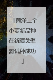菏泽三个小麦新品种在新疆戈壁滩试种成功