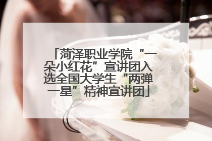 菏泽职业学院“一朵小红花”宣讲团入选全国大学生“两弹一星”精神宣讲团