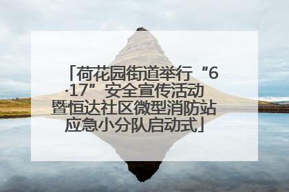 荷花园街道举行“6·17”安全宣传活动暨恒达社区微型消防站应急小分队启动式