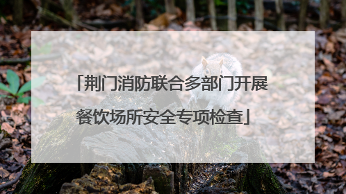 荆门消防联合多部门开展餐饮场所安全专项检查