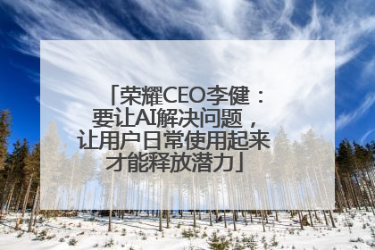 荣耀CEO李健：要让AI解决问题，让用户日常使用起来才能释放潜力