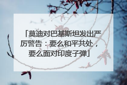 莫迪对巴基斯坦发出严厉警告：要么和平共处，要么面对印度子弹
