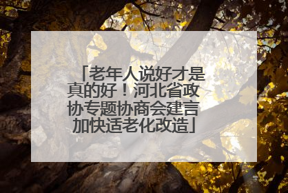 老年人说好才是真的好！河北省政协专题协商会建言加快适老化改造
