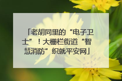 老胡同里的“电子卫士”！大栅栏街道“智慧消防”织就平安网
