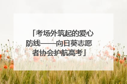 考场外筑起的爱心防线——向日葵志愿者协会护航高考
