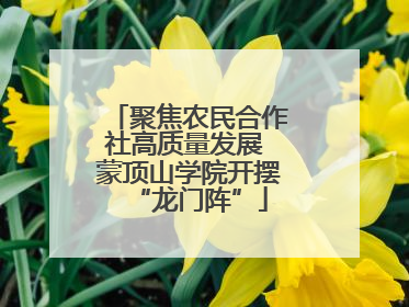 聚焦农民合作社高质量发展 蒙顶山学院开摆“龙门阵”