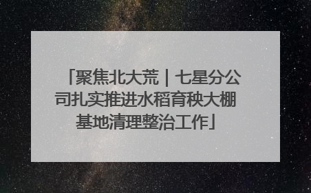 聚焦北大荒｜七星分公司扎实推进水稻育秧大棚基地清理整治工作