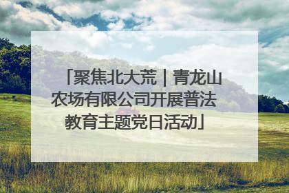 聚焦北大荒｜青龙山农场有限公司开展普法教育主题党日活动