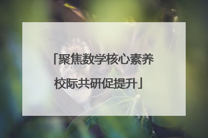 聚焦数学核心素养 校际共研促提升