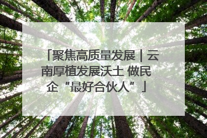 聚焦高质量发展｜云南厚植发展沃土 做民企“最好合伙人”