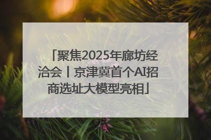 聚焦2025年廊坊经洽会丨京津冀首个AI招商选址大模型亮相