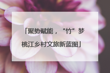 聚势赋能，“竹”梦桃江乡村文旅新蓝图