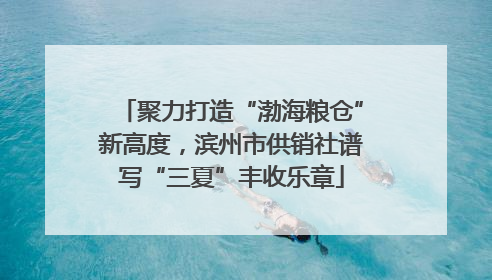 聚力打造“渤海粮仓”新高度，滨州市供销社谱写“三夏”丰收乐章