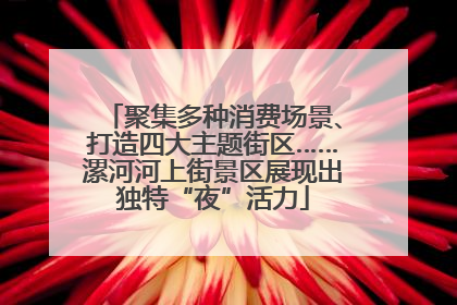 聚集多种消费场景、打造四大主题街区……漯河河上街景区展现出独特“夜”活力