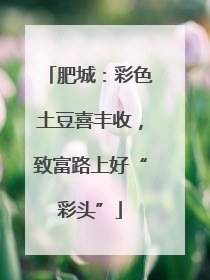 肥城：彩色土豆喜丰收，致富路上好“彩头”