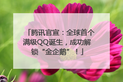 腾讯官宣：全球首个满级QQ诞生，成功解锁“金企鹅”！