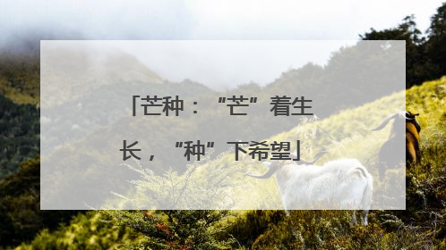 芒种：“芒”着生长，“种”下希望