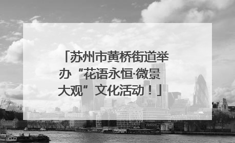 苏州市黄桥街道举办“花语永恒·微景大观”文化活动！