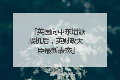 英国向中东增派战机后，英财政大臣最新表态
