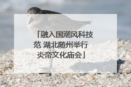 融入国潮风科技范 湖北随州举行炎帝文化庙会