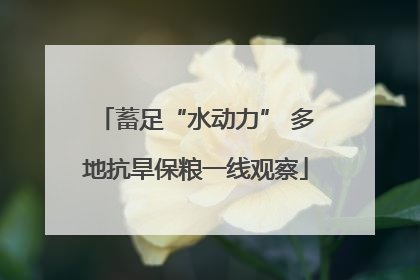 蓄足“水动力” 多地抗旱保粮一线观察