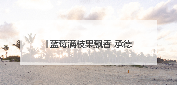 蓝莓满枝果飘香 承德宽城特色产业助振兴