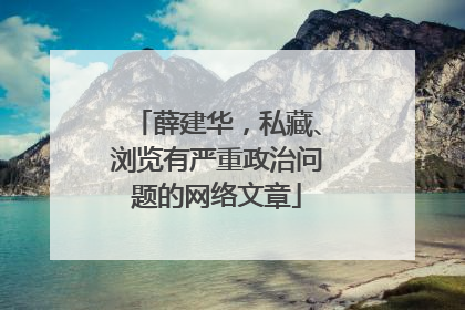 薛建华，私藏、浏览有严重政治问题的网络文章