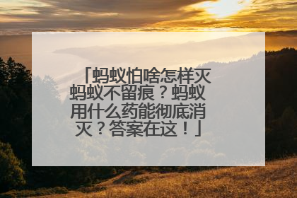 蚂蚁怕啥怎样灭蚂蚁不留痕？蚂蚁用什么药能彻底消灭？答案在这！