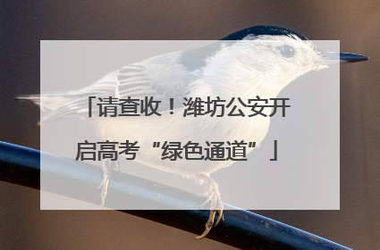 请查收!潍坊公安开启高考“绿色通道”
