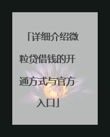 详细介绍微粒贷借钱的开通方式与官方入口
