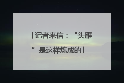 记者来信：“头雁”是这样炼成的