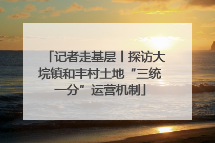 记者走基层丨探访大垸镇和丰村土地“三统一分”运营机制