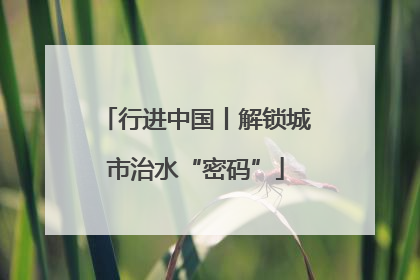 行进中国丨解锁城市治水“密码”