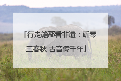 行走赣鄱看非遗：斫琴三春秋 古音传千年