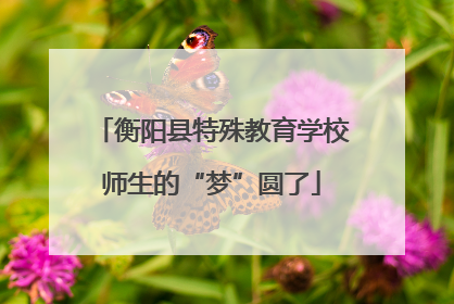 衡阳县特殊教育学校师生的“梦”圆了