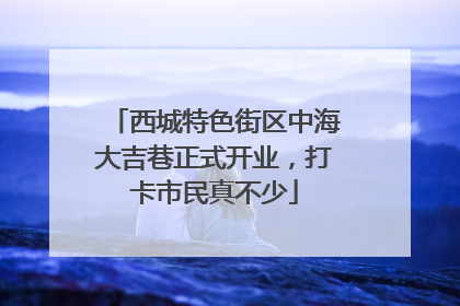 西城特色街区中海大吉巷正式开业，打卡市民真不少