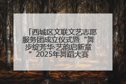 西城区文联文艺志愿服务团成立仪式暨“舞步绽芳华·艺韵启新章”2025年舞蹈大赛展演圆满举办