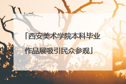 西安美术学院本科毕业作品展吸引民众参观