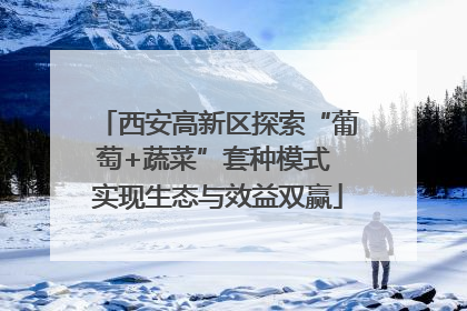 西安高新区探索“葡萄+蔬菜”套种模式 实现生态与效益双赢